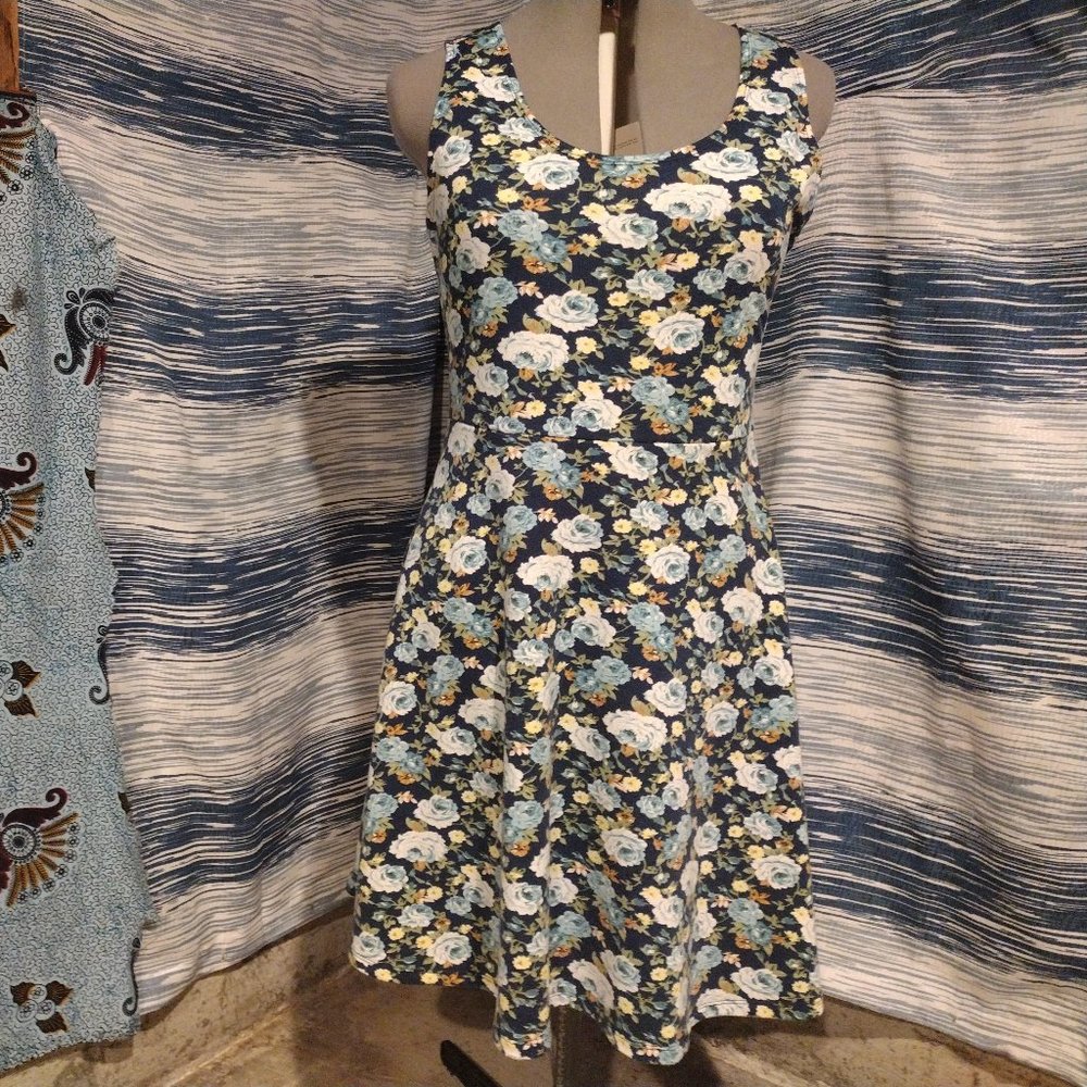 Blue rose print skater dress